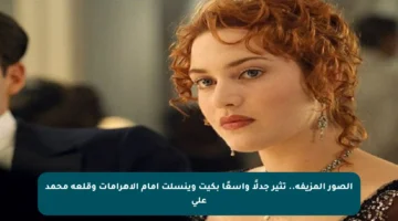 الصور المزيفة.. تثير جدلًا واسعًا بكيت وينسلت أمام الأهرامات وقلعة محمد علي